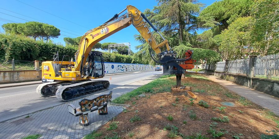 Immagine Medio Ambiente y Áreas Verdes