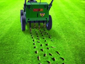 Professional Billy Goat lawn aerator for rent from Alayan Rentals extracting soil cores from the lawn