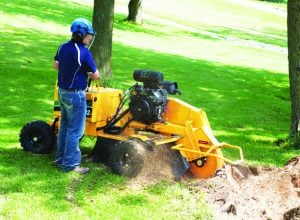 Self-propelled wheeled Vermeer stump grinder rental for green maintenance - Alayan Rentals