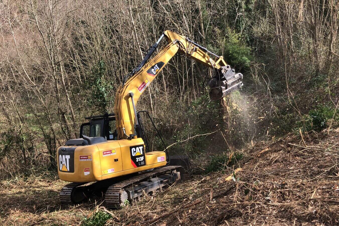 Escavatore caterpillar 313 a noleggio da CGTE con decespugliatore al lavoro in una bonifica in un bosco Alayan (CGTE) Noleggio