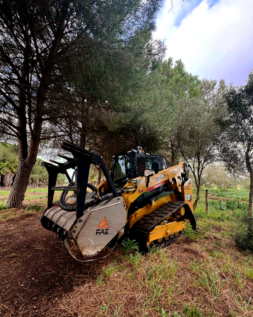 Alayan (CGTE) Rental