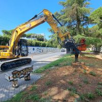 Immagine Green Area Management